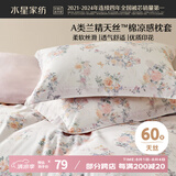 水星家纺枕套60支兰精天丝™凉感枕头套一对装枕头罩双人家用48x74cm