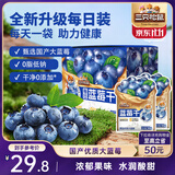 三只松鼠每日蓝莓干256g/16包 无添加水果干果脯小包装儿童老人办公室零食