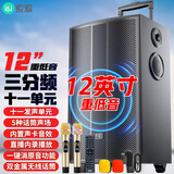 索爱（soaiy）SA-X62舞台级12吋大功率重低音广场舞电木吉他乐器音箱网红直播户外蓝牙拉杆声卡话筒