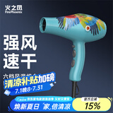 火之凤吹风机理发店专用 电吹风筒 负离子2200W大功率发廊大风力速干家用高速恒温护发不伤发8960 8960H蓝鹦鹉(2400W)