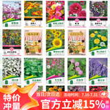 花沃里20款花种子套餐 花卉种子组合太阳花凤仙花向日葵四季种野花