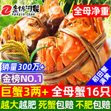 【活蟹】网兜蟹辽宁盘锦河蟹稻田河蟹礼盒螃蟹鲜活大闸蟹无绳净重 全母蟹丨2.8-3.0两【5斤】16-18只