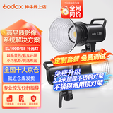 神牛补光灯100w摄影灯常亮灯LED摄影灯双色温视频直播补光灯直播人像拍照美颜柔光灯深抛灯顶灯影视灯 SL100W单灯头【白光版/双色温】  SL100D白光版
