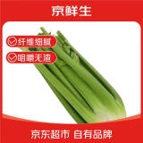 京鲜生山东新鲜西芹净重3斤 单棵约500g新鲜蔬菜 榨汁脆嫩无丝 源头直发