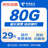 中国电信流量卡29元广东深圳电信纯上网5g手机卡电话卡全国通用非永久星卡大王卡SZ