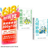 写给青少年的数学故事 代数奇思+几何妙想 套装上下2册（京东）（图灵出品）