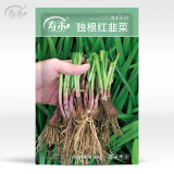 寿禾 韭菜籽种子苗宽叶四季盆栽菜籽 独根红韭菜种子12g约2200粒 