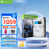 希捷（SEAGATE）安防硬盘 6TB 256MB SATA CMR垂直 机械硬盘 视频储存 数据恢复服务 希捷酷鹰 3.5英寸ST6000VX008