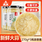 川珍 蒜蓉酱3瓶 大酱蒜泥蒸海鲜粉丝扇贝烧烤生蚝火锅蘸碟蘸料