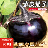 山东圆茄子现摘现发当季新鲜紫色茄子时令新鲜蔬菜生鲜京东买菜 山东圆茄 4斤 带箱