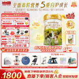 海普诺凯1897【新国标】荷致较大婴儿配方奶粉 2段800克*6罐（6-12月龄）