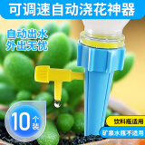 芷郁自动浇水家用定时懒人滴水器养花浇花神器出差出门滴灌 10个装