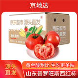 京地达栗贝诺山东普罗旺斯口感番茄净重3斤单果90g+沙瓤西红柿源头直发