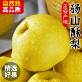 骑猴赶马安徽正宗砀山梨冰糖雪梨汤山当季新鲜水果脆酥梨整箱秋月黄冠梨 9斤装【蕞划算】 单果250g+