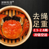 【活蟹】湖鲜阳澄 大闸蟹 去绳足重 2.5-2.8两 10只 鲜活六月黄现货超大螃蟹水产礼盒装