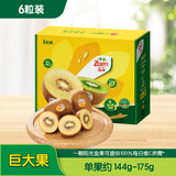 佳沛（zespri）新西兰阳光金果6个装巨大果单果144-175g水果猕猴桃源头直发
