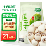 十月稻田 莲子 250g 半斤 湘潭产去芯磨皮白莲子 桂圆百合银耳羹煲汤食材 