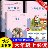 快乐读书吧六年级上指定阅读：童年+小英雄雨来+爱的教育(套装共3册）