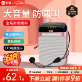 索爱（soaiy）S318小蜜蜂扩音器教师专用U盘TF卡麦克风喇叭防啸叫导游蓝牙音箱户外教学讲课  TYPE-C金
