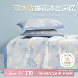 博洋家纺冰丝凉席可机洗夏季凉席1100D冰丝席子1.2x2米空调席二件套