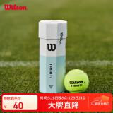Wilson威尔胜全场地用球美网澳网专业训练网球 3粒装（球面数字随机）