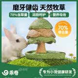 乖卷兔子磨牙零食磨牙棒啃咬玩具果蔬高草含量助排毛球造景 磨牙小树