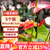 花沃里花架植物爬藤架植物支撑杆阳台绿植防倒伏支撑架圆环型45CM5个装