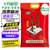 十月稻田 当季新米 长粒香大米 20斤（东北大米 香米 10公斤）