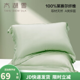 太湖雪枕套一对装A类100%兰精天丝面料莱赛尔抗菌床单隔脏被单 春竹绿枕套*2【48x74cm】 A类抗菌100%天丝面料 48cm*74cm