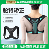 Panapopo驼背矫正器成人开肩矫姿带男女士防驼背部矫正脊椎柱侧弯神器L