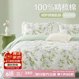 博洋（BEYOND）博洋家纺100%纯棉四件套ins风全棉套件被套床单枕套自然花草系列 【全棉亲肤】青棠 三件套1.2米床(被套150*210cm*1)