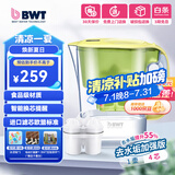 倍世（BWT）净水壶滤水壶净水器家用 欧洲镁离子滤芯 益家4.2L大容量 过滤水壶 厨房客厅通用 【去水垢-加强版】1壶4芯