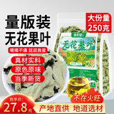 修年堂无花果叶 250g干货叶子可泡无花果叶茶 精选产地自然晾干无花果叶