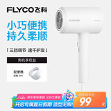 飞科 FLYCO 电吹风机宿舍用 柔风负离子恒温护发 家用冷热大风量快速干发吹风筒FH6290 1800W