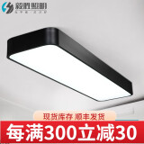 毅胜 led办公室吸顶灯现代简约长方形过道走廊灯工作室会议室书房灯 黑吸顶款配LED光源 1200x200