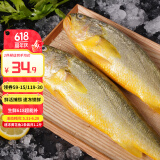 三都港速冻黄花鱼宁德特产大黄鱼新鲜海鲜冷冻水产烹饪食材生鲜鱼类 速冻黄花鱼2条装共1.2斤