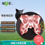 楮木香排骨 肋排 黑猪肉 构树饲养土猪肉猪小排烧烤 猪肉 生鲜源头直发 构树黑猪梅花肉2斤