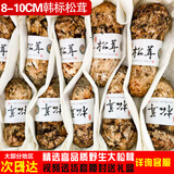 土地母亲计划 雅江松茸菌未开伞新鲜松茸鲜菌菇冷链空运现货快至24H达团购送礼 5A韩标野生未开伞 8-10cm 500g