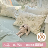 艾薇 枕头套枕套一对纯棉家用全棉单人枕套枕芯套 仙草 48*74cm