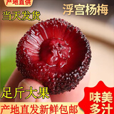 梦茜儿顺丰 新鲜杨梅 10斤青红酸甜梅贵州现摘土杨梅农家生鲜特产泡酒 5斤 A级头茬特大杨梅 顺丰