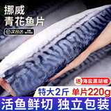 尚致挪威青花鱼鲜切青花鱼片深海鱼青占鱼新鲜冷冻青鱼鲭鱼生鲜鱼类 1000g【190-220g*5片】特大净重