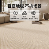 AOVOC地毯客厅2025新款免洗可擦轻奢高级感地毯卧室奶油风 清茶1.4*2米