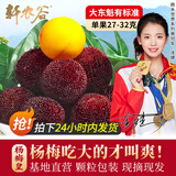 轩农谷 正宗仙居杨梅新鲜东魁大杨梅现摘现发特大乒乓杨梅时令水果礼盒 17A单果27-32g 80颗