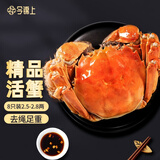 【活蟹】今锦上苏州大闸蟹2.5-2.8两 8只鲜活六月黄现货螃蟹生鲜礼盒 去绳足重源头直发