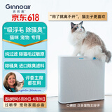 吉若奥Ginnoair KJ420F宠物除异味空气净化器 吸猫毛除臭除猫砂盆臭味猫狗异味除菌防过敏静音 宠物家庭 KJ420净化器（配铜离子版宠物除异味滤网）