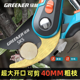 绿林（GREENER）园艺剪刀剪树枝专用剪刀花艺剪家用园林果树修枝剪 【双色柄】