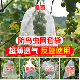 yuanyiba水果套袋防乌防虫专用网袋葡萄枇杷芒果火龙果莲雾黄皮果保护袋子