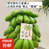 宝宝蕉工位绿植【禁止蕉绿】小米蕉水果送吊牌 超美观赏绿植 【禁止蕉绿】3~ 4斤 带箱 赠送吊牌