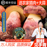 相遇红颜现货24小时达云南特产新鲜野生菌见手青红葱青头菌白葱鸡枞牛肝菌 精选牛肝菌见手青净重 550g