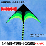 百特风筝潍坊伞布碳杆大草原风筝大三角儿童成人新款易飞大气 2米升级版树脂杆草原+10米尾